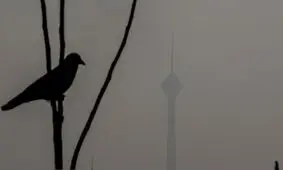 مدارس ابتدایی تهران شنبه غیر حضوری شد؛ زوج و فرد از درب منزل

