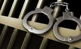 مریم وحیدیان، روزنامه نگار بازداشت شد

