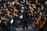 SAD_9861