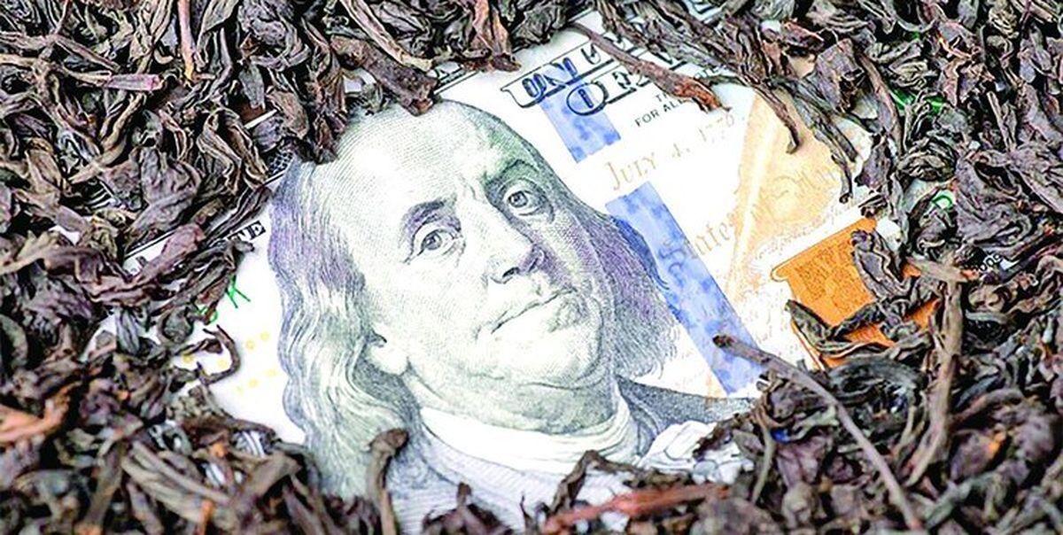 بانک مرکزی: حتی یک دلار هم ارز ترجیحی به واردات چای ندادیم