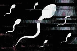 بازار سیاه اسپرم؛ مردانی که اسپرم خود را آنلاین میفروشند