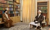 دیدار و گفت‌وگوی رهبر جریان حکمت ملی عراق با آیت‌الله مکارم شیرازی

