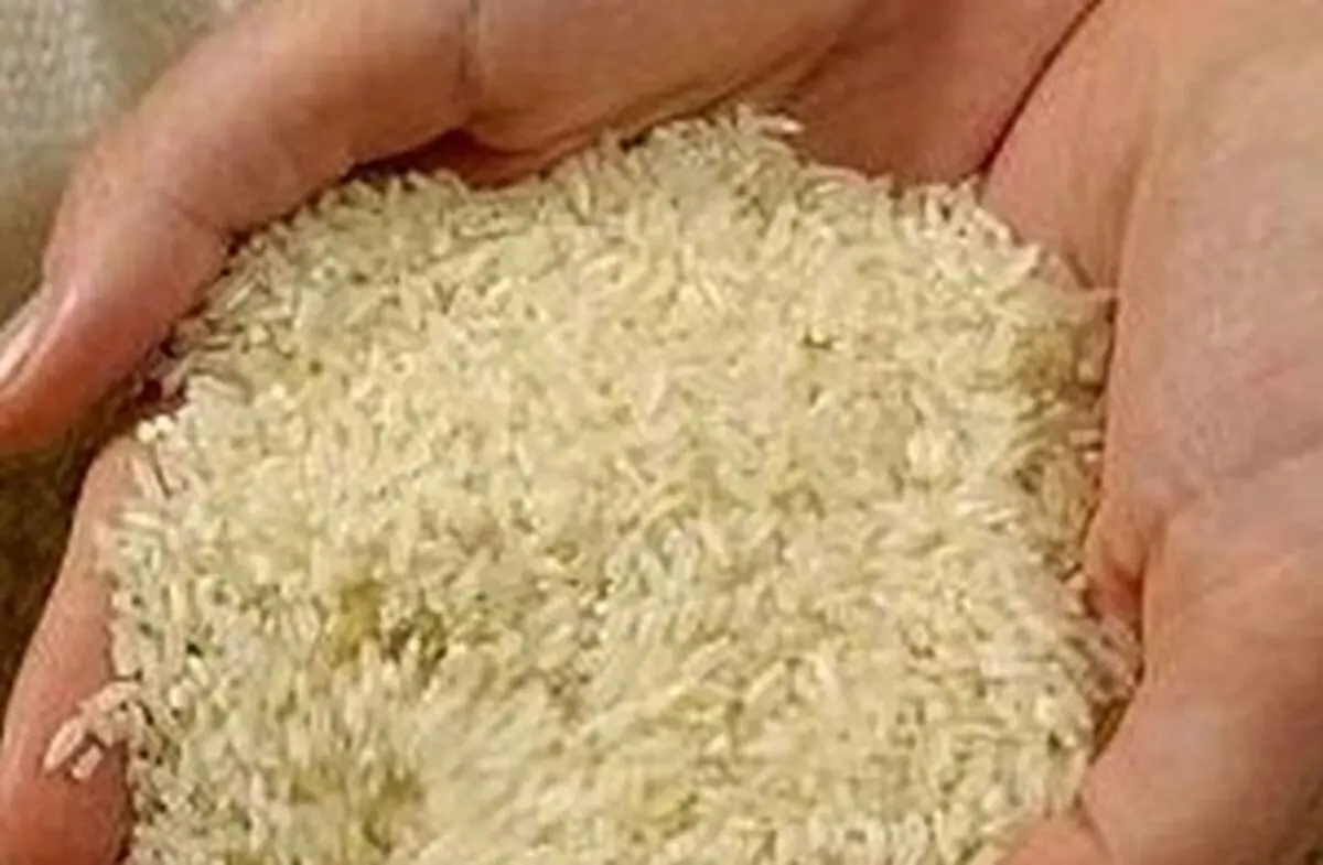 می‌خواهند برنج داخلی کیلویی ۱۰۰ هزار تومان شود

