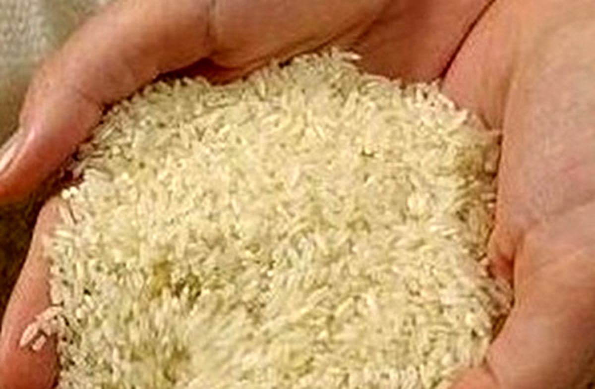 می‌خواهند برنج داخلی کیلویی ۱۰۰ هزار تومان شود

