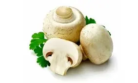 قیمت انواع قارچ در طعم های مختلف