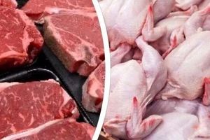 کاهش عرضه گوشت قرمز و طیور در تیرماه