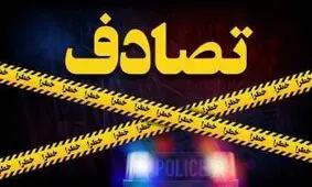 تصادف مرگبار و دلخراش عابر پیاده/ ویدئو