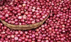 پیاز همانند دلار وارد کانال ۴۰ هزار تومان شد/ کورس پیاز و موز

