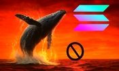 سولانا در بدترین موقعیت ماهانه؛ سایه تهدید نهنگ‌‌ها بالای سر SOL!