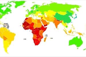 میانگین آی کیو ایرانی‌ها چقدر است؟ / رتبه ایران در مقایسه دیگر کشورها