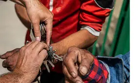 ۲۰ معتاد متجاهر در قشم دستگیر شدند