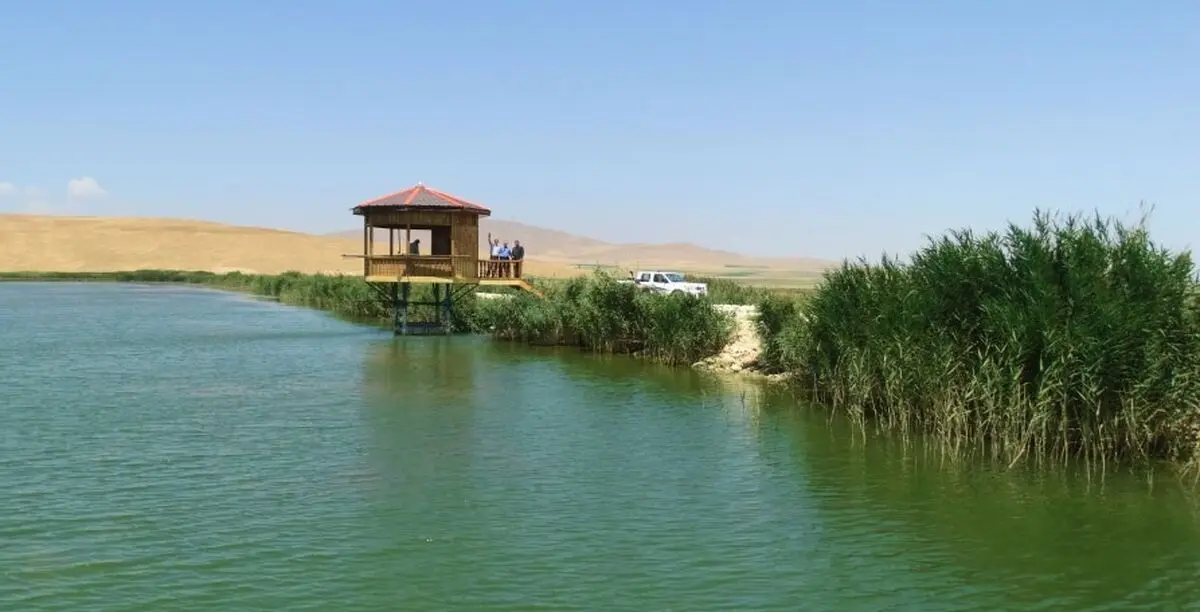 تالاب سولدوز نقده پس از ۱۵ سال سرریز شد