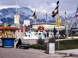  استقبال کشورهای خارجی از نمایشگاه بین المللی تهران/ دختران ایرانی به جبهه جنگ ظفار در عمان اعزام شدند/ صادرات نفت ایران به سوئد رکورد شکست/ آلمان غربی ۲۵ سردخانه در ایران می سازد


