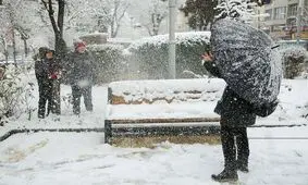 استان البرز هم تعطیل شد

