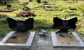 آرامگاه حیوانات خانگی در کیف اوکراین/ تصاویر