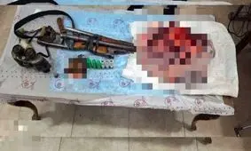 لاشه یک قلاده خرس قهوه ای در سوادکوه