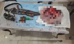 لاشه یک قلاده خرس قهوه ای در سوادکوه