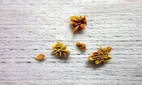 چرا دچار سنگ مثانه می‌شویم؟