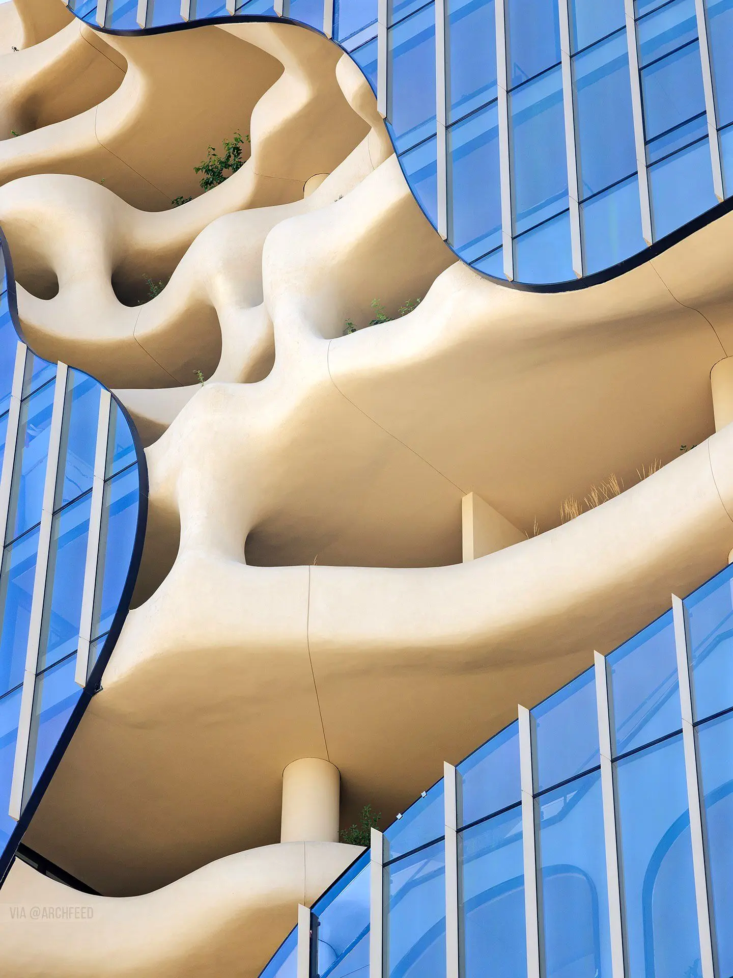 نمای ساختمان وان ریور نورث در دنور با نمای شیشه‌ای و شکاف عمیق صخره‌ای مجهز به گیاهان طبیعی و مسیر پیاده‌روی عمودی.