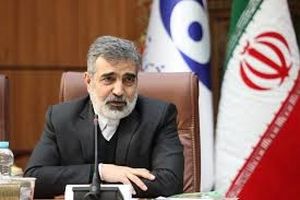 جزئیات اقدامات ایران در پاسخ به قطعنامۀ شورای حکام/ ویدئو