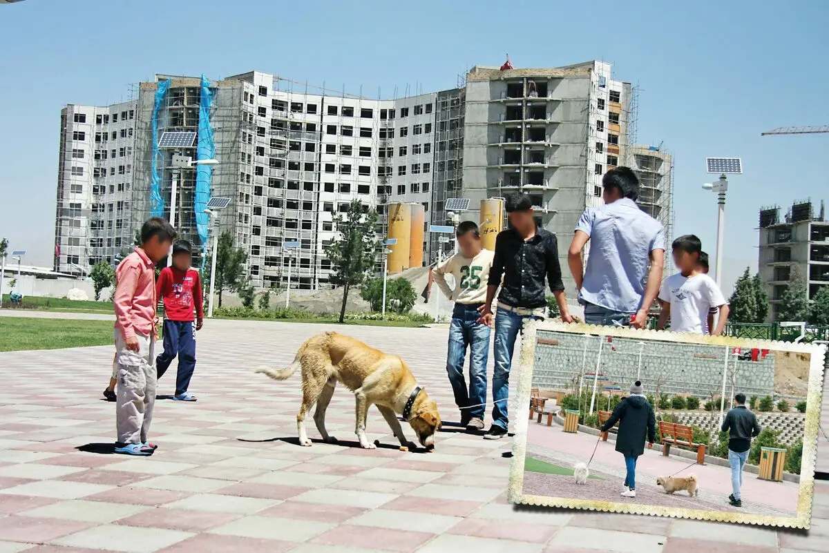 پردرآمدترین شغل پاره وقت در ایران را بشناسید