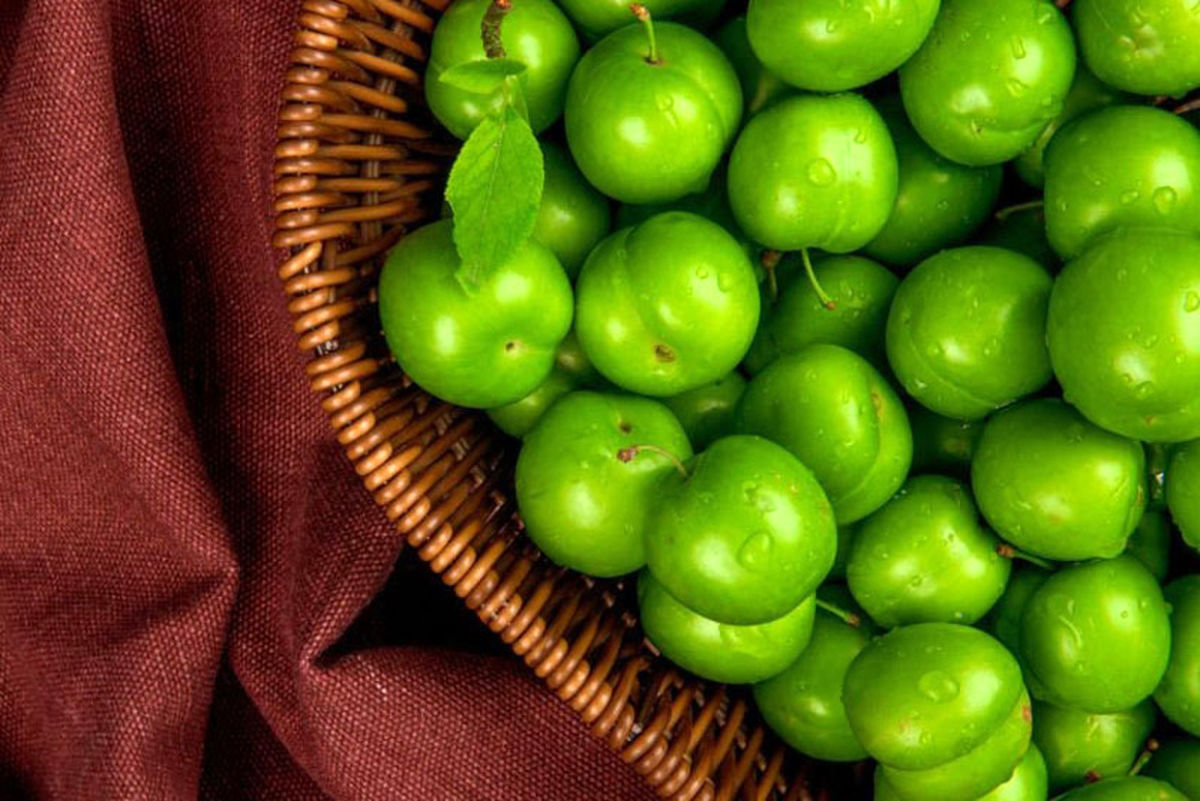 قیمت این میوه بهاری ۳ میلیون تومان شد