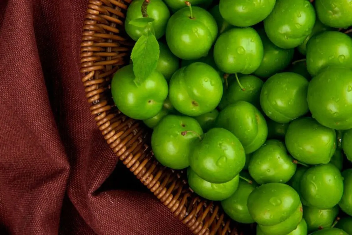 قیمت این میوه بهاری ۳ میلیون تومان شد