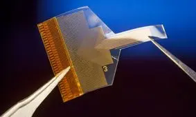 ایمپلنت شفاف فعالیت عصبی را از اعماق مغز می‌خواند

