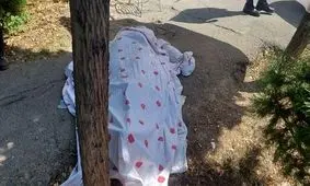 مرگ هولناک نوجوان ۱۷ ساله زیر چرخ‌های تریلر در مشهد