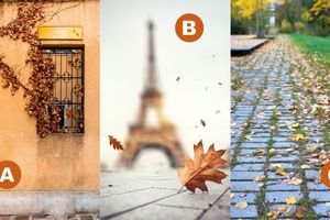تست شخصیت شناسی: بفهمید برای تجدید مجدد انرژی خودتان به چه چیزی نیاز دارید