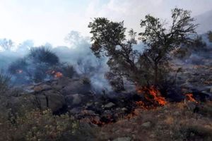 ادامه آتش‌سوزی در ارتفاعات سروستان فارس