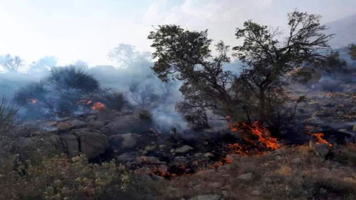 ادامه آتشسوزی در ارتفاعات سروستان فارس