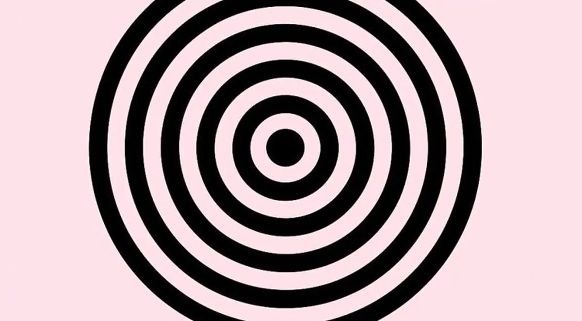 تست بینایی/ سه تفاوت تصویر در خرگوش کتاب خوان را پیدا کنید