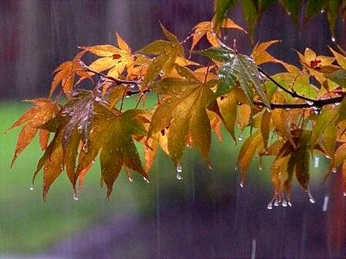 بارش باران در برخی استان های کشور
