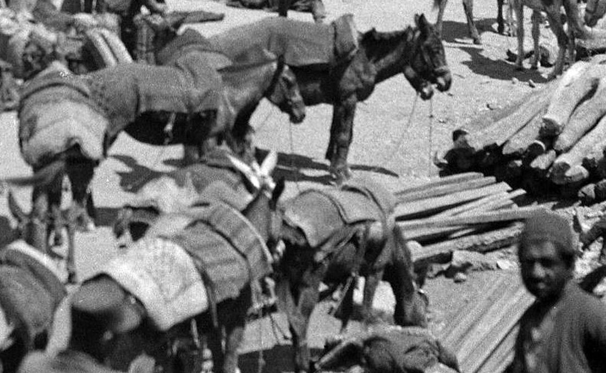 سفر به ایران قدیم؛ زغالفروشها و قاطرهایشان، 90 سال قبل