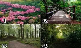 شخصیت‌شناسی با انتخاب یکی از این ۴ جاده