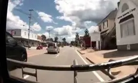 لحظه پرش ناگهانی آهو به داخل اتوبوس/ ویدئو