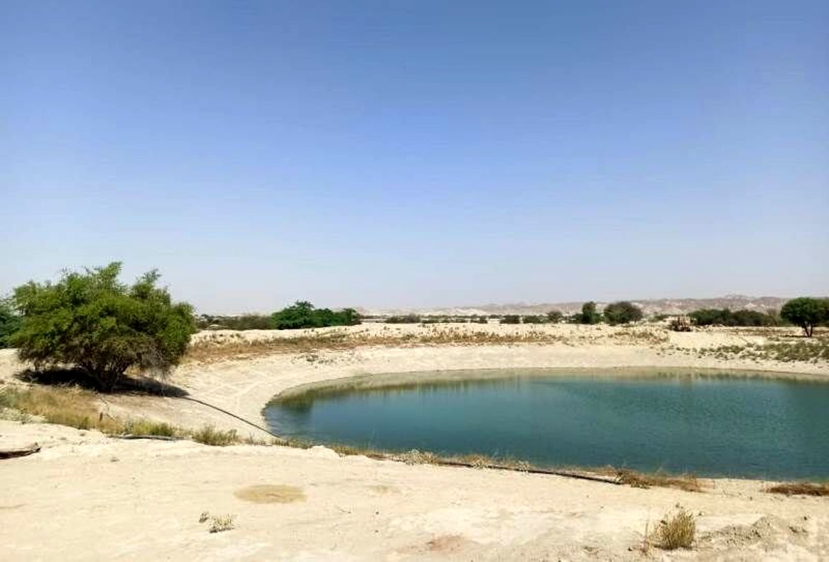 مشکل دیرینه روستاییان چابهار/ هوتگ ها باز هم قربانی گرفتند/ ویدئو