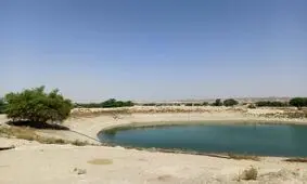 مشکل دیرینه روستاییان چابهار/ هوتگ‌ ها باز هم قربانی گرفتند/ ویدئو