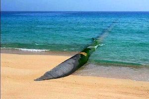 فاز نخست پروژه انتقال آب دریای عمان به اصفهان رسید