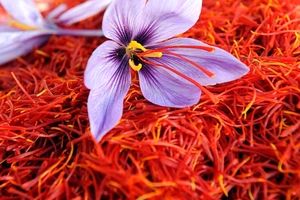 گزارش نگران کننده رسانه آمریکایی از کاهش شدید تولید زعفران ایرانی