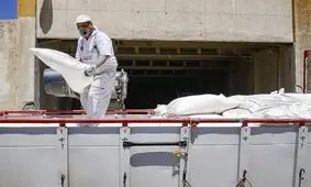 ۶ متهم احتکار عمده آرد در جویبار دستگیر شدند/ کشف ۵ هزار کیسه آرد قاچاق 