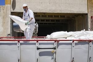 ۶ متهم احتکار عمده آرد در جویبار دستگیر شدند/ کشف ۵ هزار کیسه آرد قاچاق 