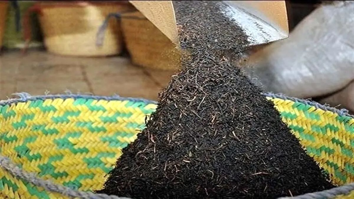 جزئیات تازه از پرونده فساد دبش؛ ماجرای «چای سنواتی سرطانزا» به ایران چست؟
