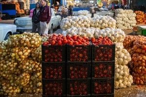 صادرات پیاز و گوجه فرنگی به زودی محدود می شود

