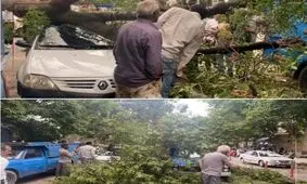 خسارت تندباد ۸۰ کیلومتری در بجنورد/ عکس