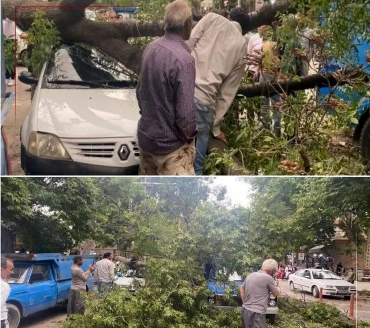  خسارت تندباد ۸۰ کیلومتری در بجنورد 