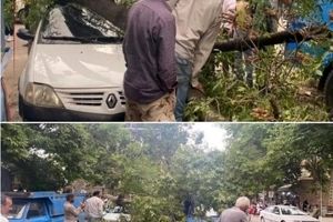 خسارت تندباد ۸۰ کیلومتری در بجنورد/ عکس
