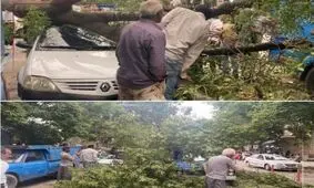 خسارت تندباد ۸۰ کیلومتری در بجنورد/ عکس
