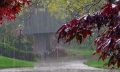 هشدار هواشناسی؛ تشدید بارش در ۱۰ استان